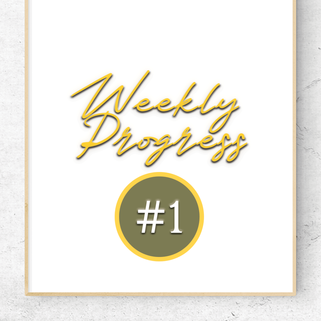 Weekly Progress #1