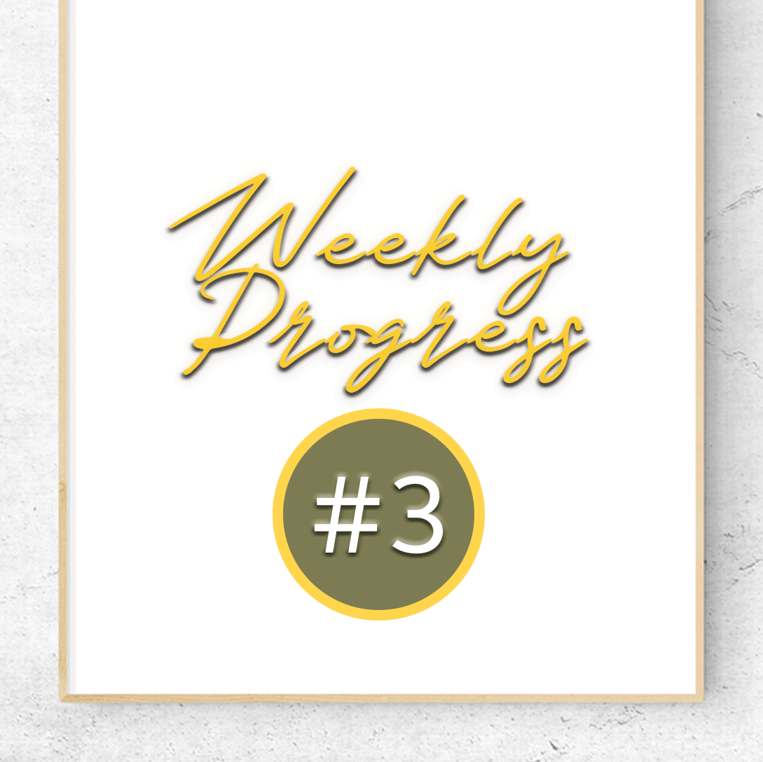 Weekly Progress #3